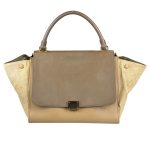 Pebbled Calfskin and Canvas Medium Trapeze